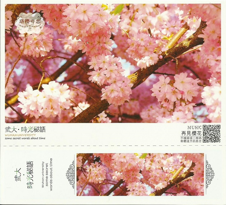 3338杨汊湖.jpg