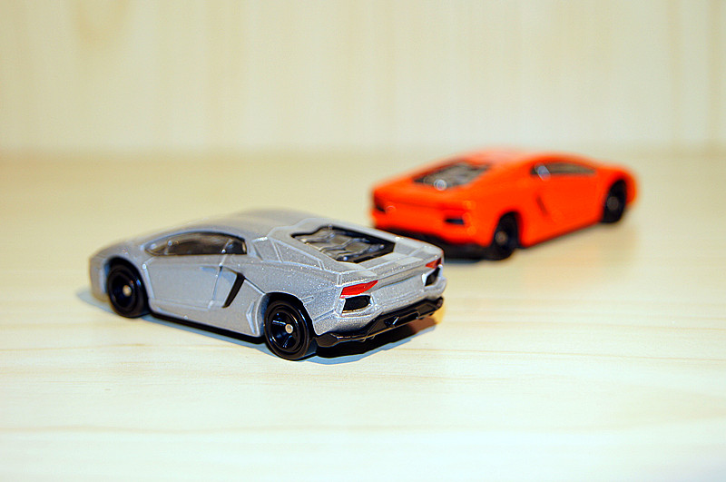 DSC05718_副本.jpg