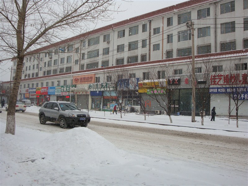 psbCAVLRDZH.jpg