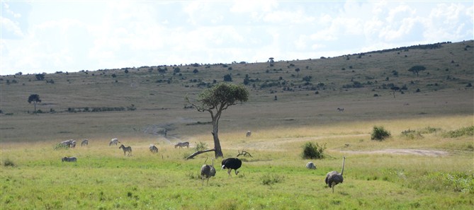 TOUR MASAIMARA 17.jpg