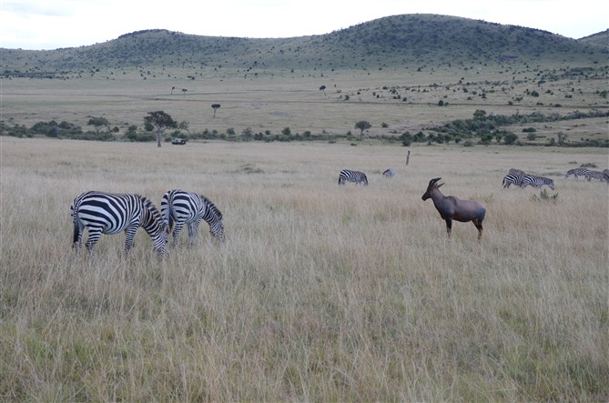 TOUR MASAIMARA 3.jpg