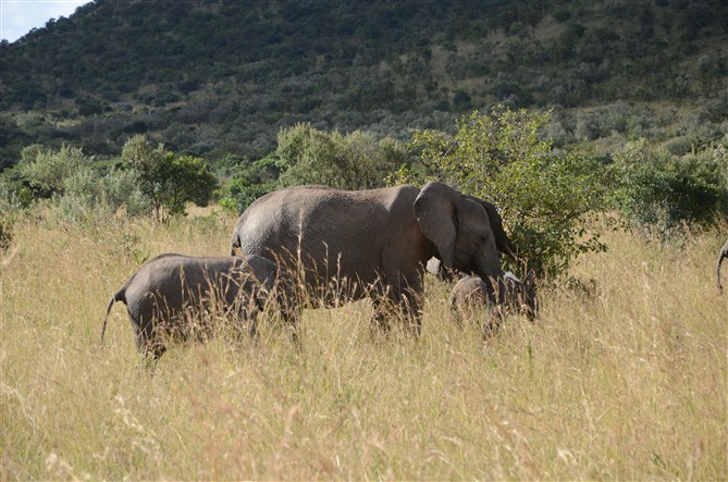 TOUR MASAIMARA 21.jpg