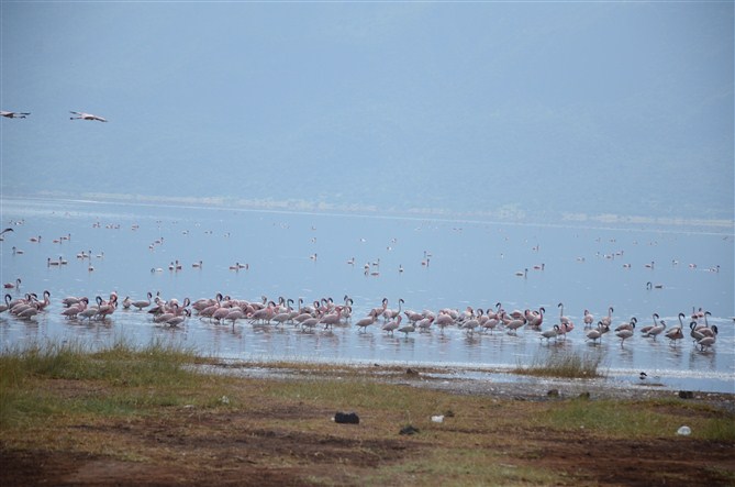 TOUR MASAIMARA 24.jpg