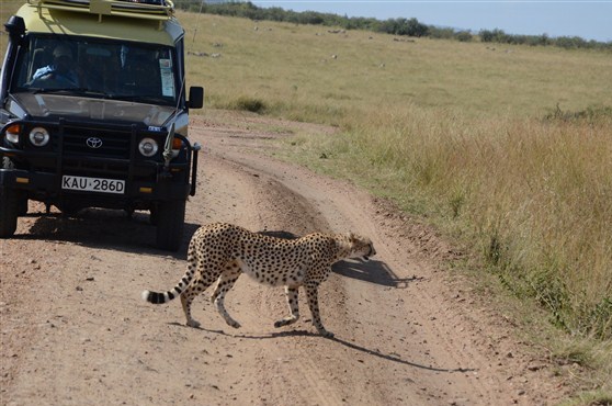 TOUR MASAIMARA 9.jpg