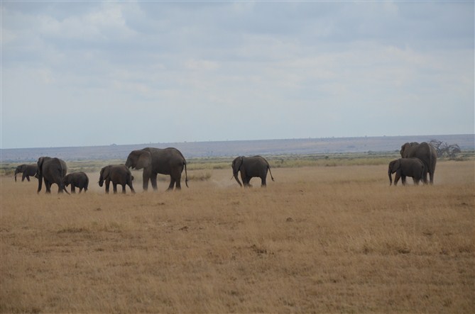 TOUR MASAIMARA 28.jpg