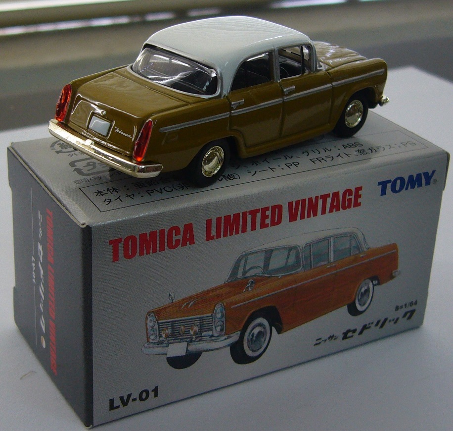 TLV-01a b.JPG