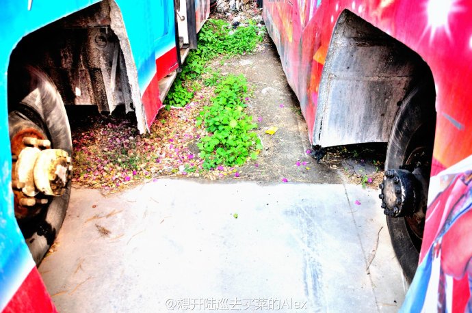 82104d0cgw1edq6uty6pkj21kw11s4g8.jpg