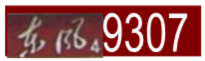 19.png