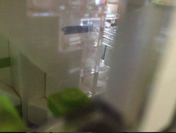 7.GIF