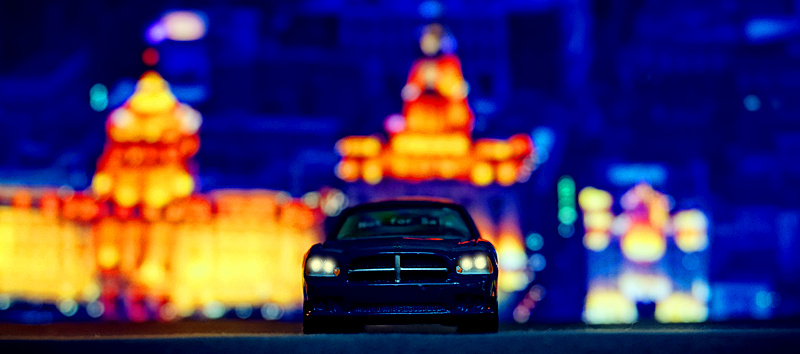 DSC01730_副本.jpg
