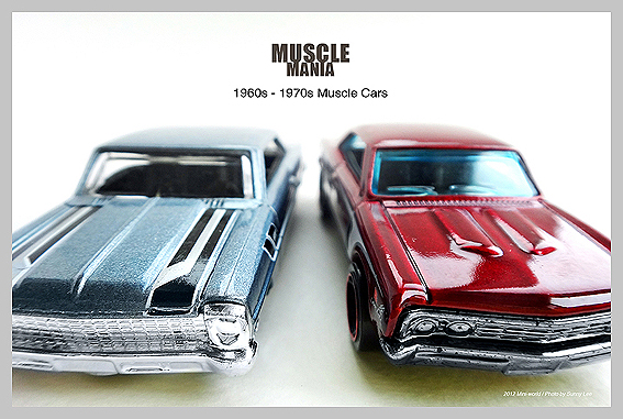 01 MUSCLE MANIAS.jpg